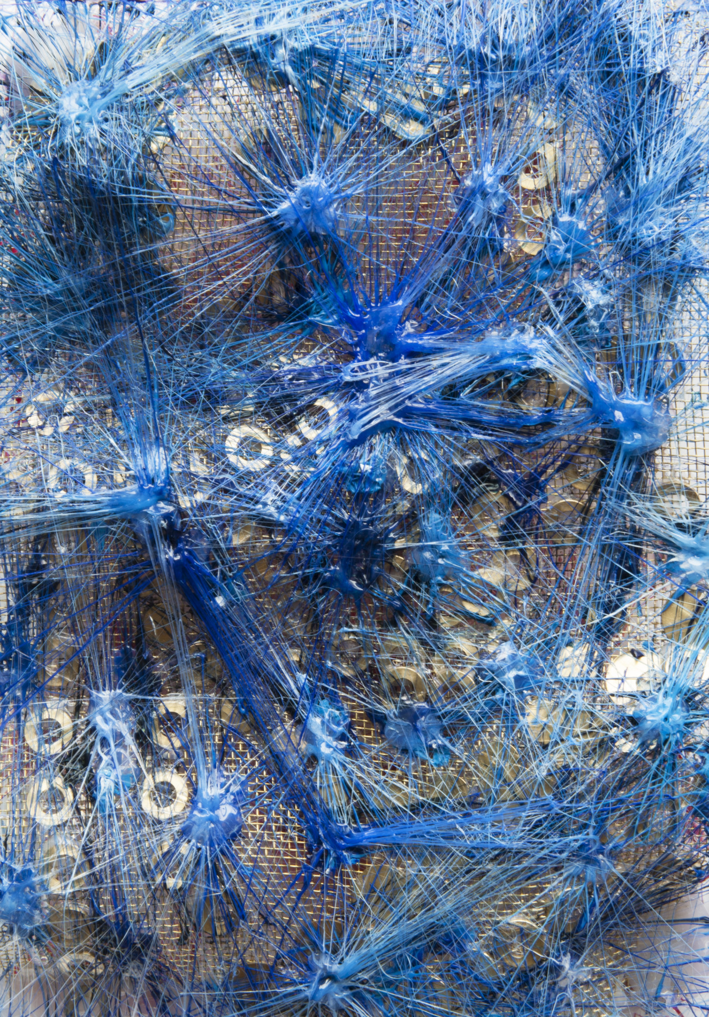 Nick Beighton In Red And Blue