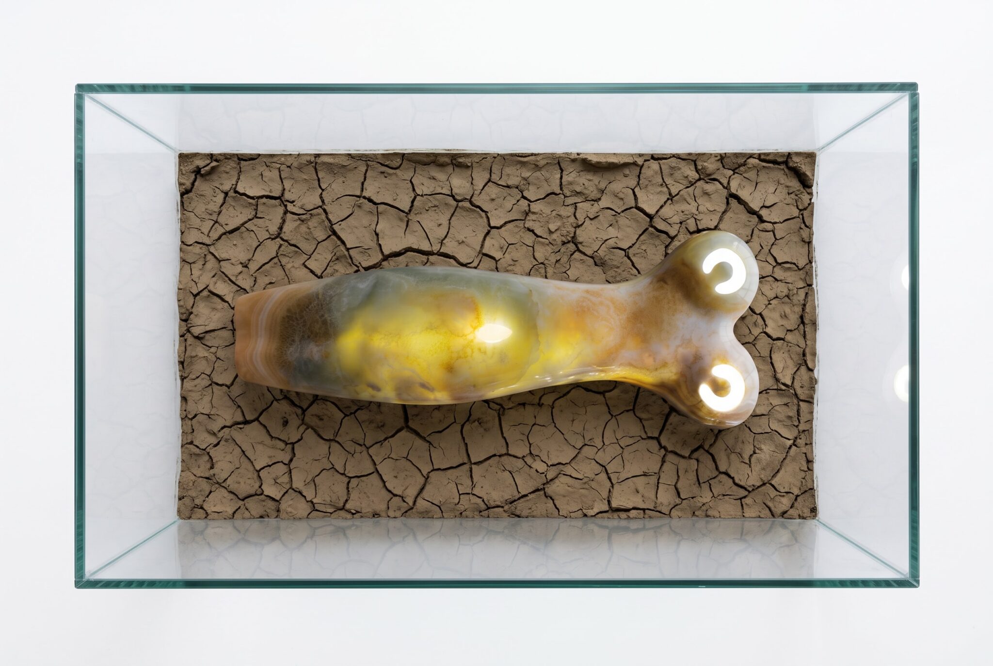 Private Collector